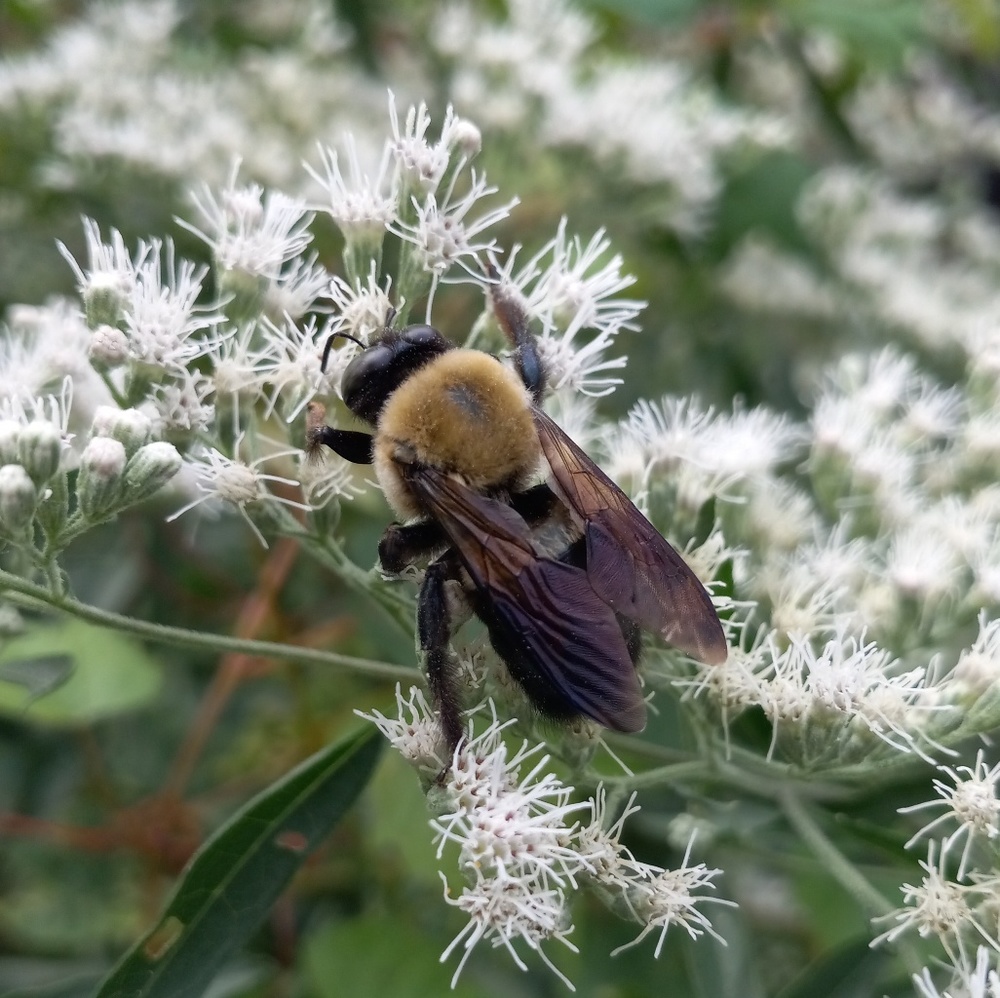 Meet your Posher, Victoria